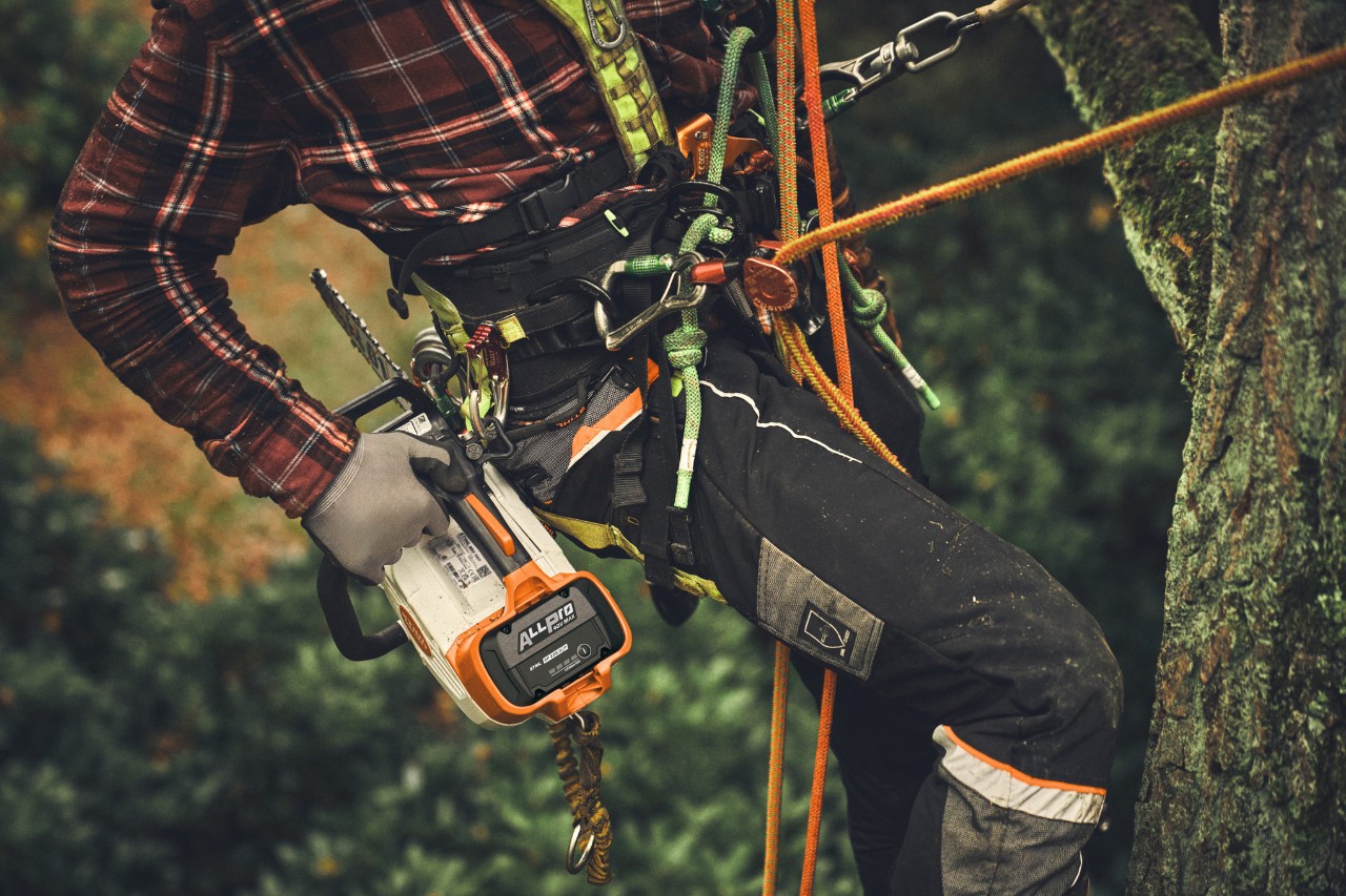 Kënd i afërt i një burri që ngjitet në një pemë me një bateri ALLPRO në një sharrë zinxhiri pa tela STIHL MSA 190 T.