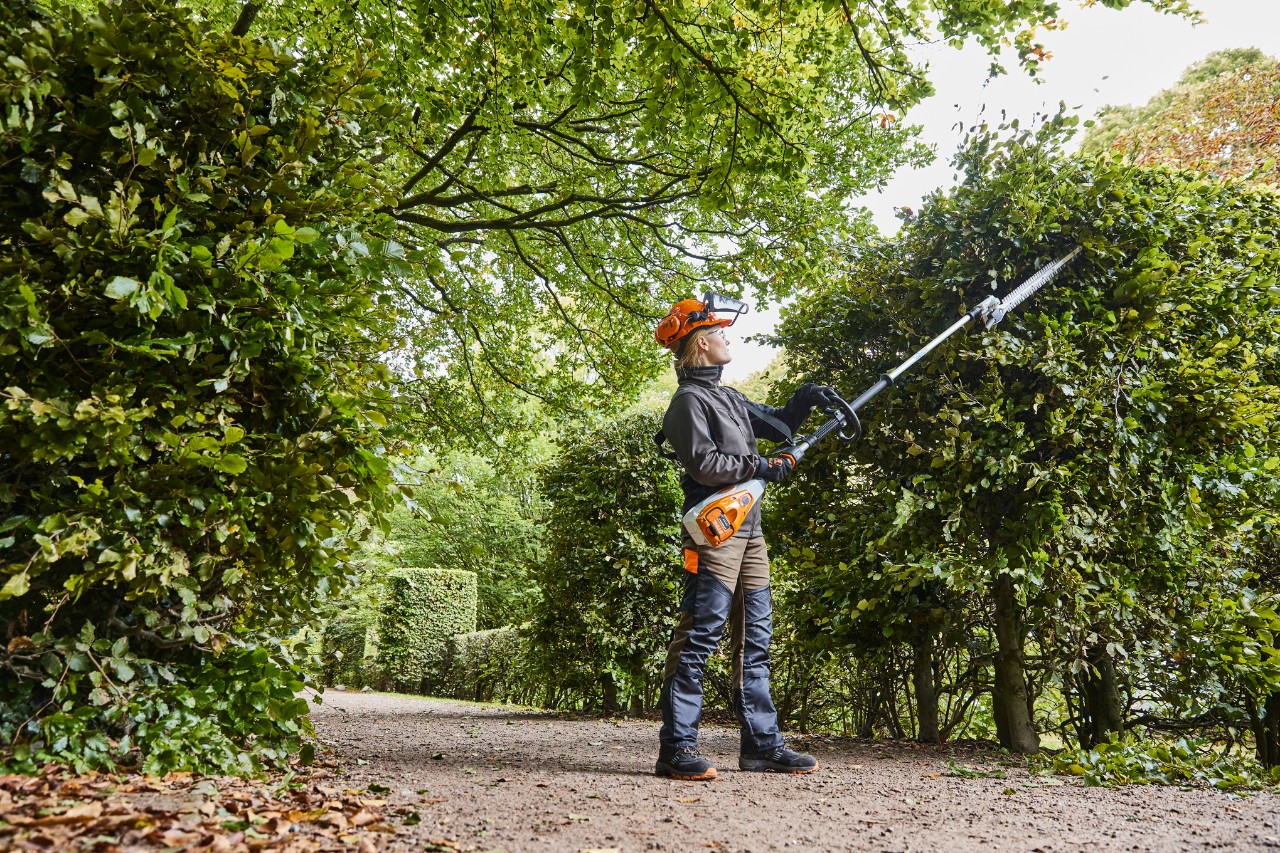 Një kopshtar dhe peizazhist duke krasitur një gardh me një gërshërë gardhi teleskopike me bateri STIHL HLA 135.