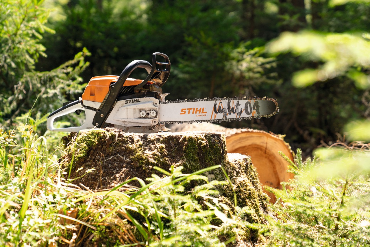 Motosharrë me zinxhir STIHL MS 261 CM në një trung në pyll
