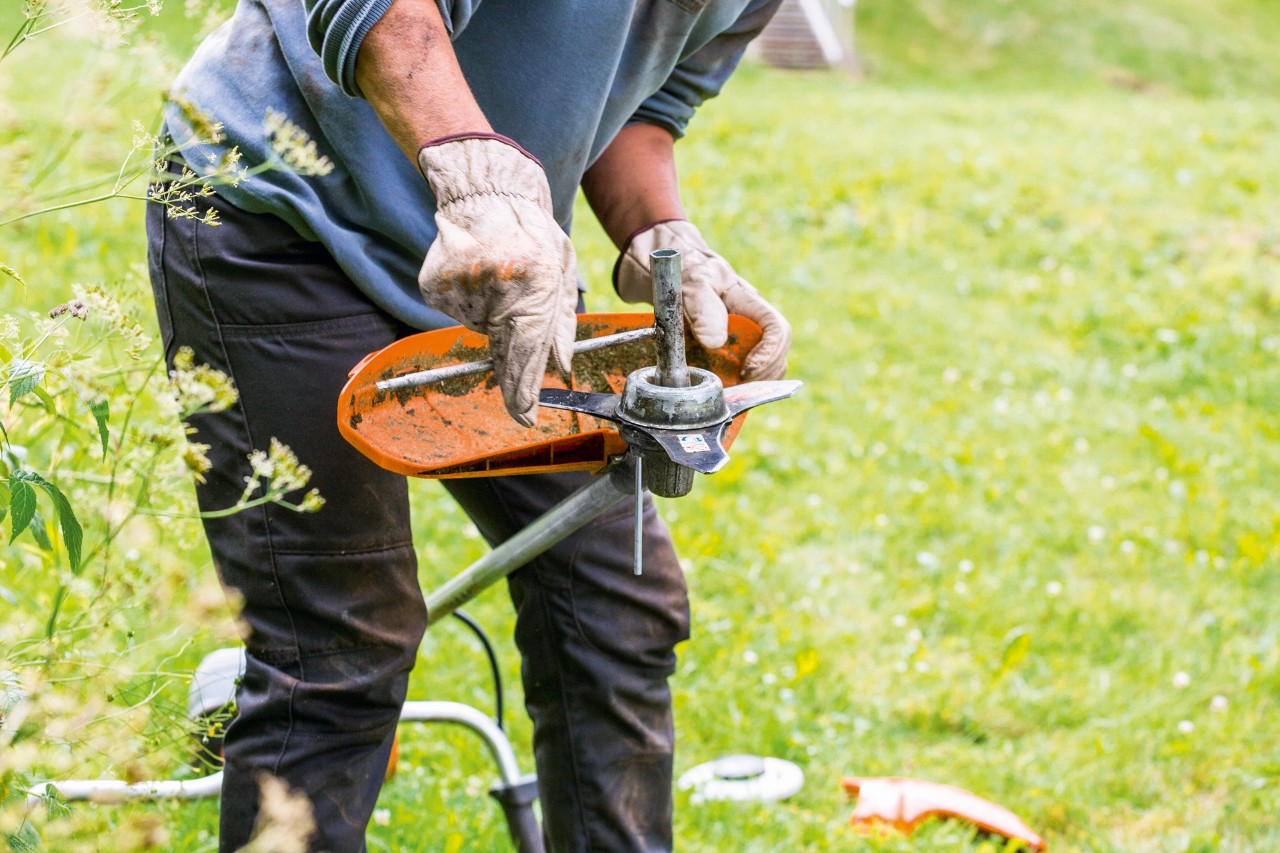 Pastrimi i kokës së kositjes gjatë mirëmbajtjes së trimerit STIHL FS 131